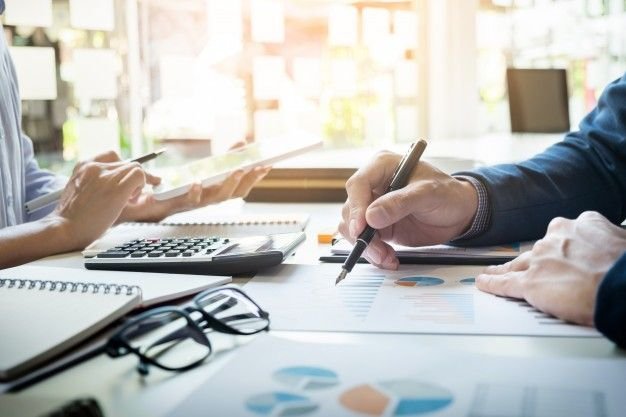 purpose of auditing